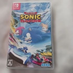 チームソニックレーシング