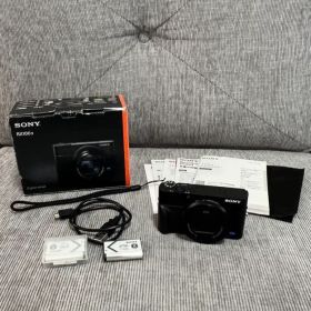 【箱・説明書付】SONY RX100V (DSC-RX100M5)