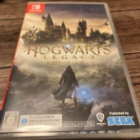ホグワーツレガシー nintendo switch ハリーポッター