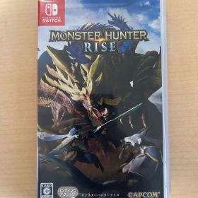 Nintendo Switch モンスターハンターライズ モンハン 美品