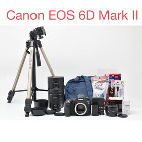 キヤノン(Canon)のCanon EOS 6D Mark II /EF 50mm/EF90-300mm(デジタル一眼)