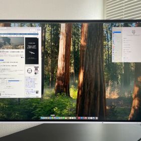 EIZO 4K液晶モニター Flexscan EV3285-wt 使用時間極短