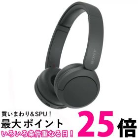 SONY ワイヤレスヘッドホン WH-CH520(B)【SS4548736142367】