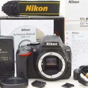 ☆極上美品☆ Nikon ニコン D5500 ボディ 元箱 付属品 Shot数 9,400枚前後 ♯26013103