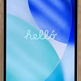 Apple iPhone 12 mini 本体 充電ケーブル付き