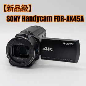 【新品級】SONY Handycam FDR-AX45A