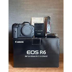 キヤノン(Canon)のCanon ミラーレスカメラ EOS R6 ボディ(ミラーレス一眼)