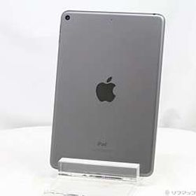 iPad mini 第5世代 256GB スペースグレイ Wi-Fi