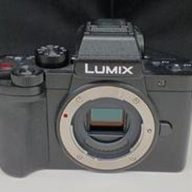 ミラーレス一眼 DC-G100V-K PANASONIC