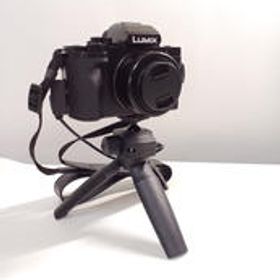 ミラーレス一眼 DC-G100V PANASONIC