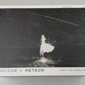 カナル型イヤホン 流星 METEOR 水無月(MOONDROP)