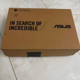 ASUS Chromebook本体 CM3001DM2 LTEモデル au