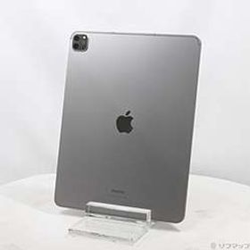 iPad Pro 12.9インチ 第6世代 256GB スペースグレイ MP203J／A SIMフリー ［12.9インチ液晶／Apple-M2］