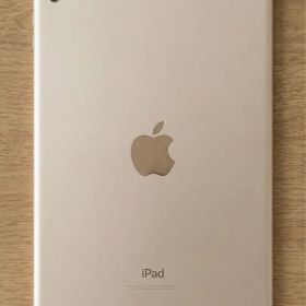 iPad mini 3 16GB 本体のみ 初期化済み