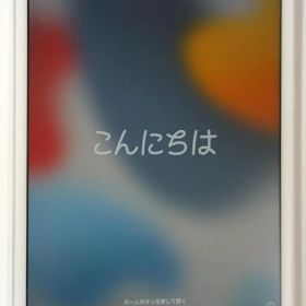 iPadmini4 7.9インチ シルバー