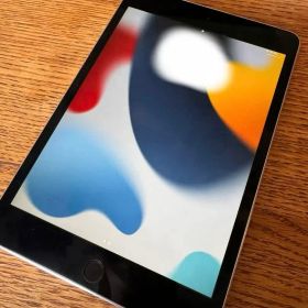 【美品】iPad mini 4 64GB Wi-Fiモデル バッテリー84%