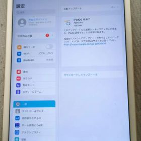 Apple iPad mini 4 64GB ジャンク