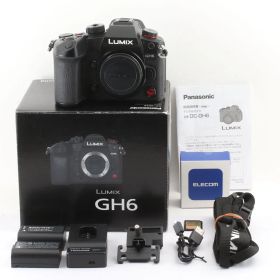 Panasonic パナソニック DC-GH6