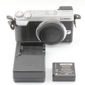 パナソニック(Panasonic)のパナソニック DMC-GX7MK2-S(ミラーレス一眼)