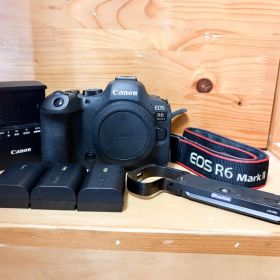 Canon EOS R6 Mark II (希望価格での購入者はおまけ付き）
