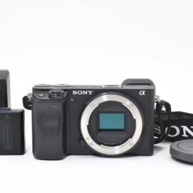 【極上美品】ショット数3,076枚 SONY α6400 動作確認済み #M32