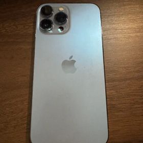 iPhone 13 Pro Max 256G