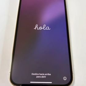 夜限定値下げ中‼️‼️Apple iPhone 13 Pro Maxゴールド 本体