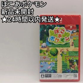 新品未開封 ぽこあポケモン