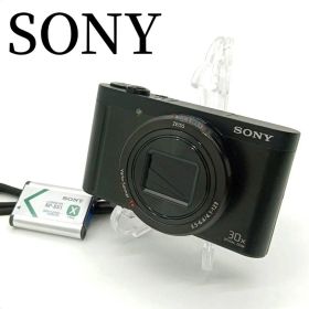SONY DSC-WX500 cybershot 動作確認済み ソニー