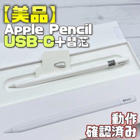 動作確認済み！【美品】Apple Pencil USB-C 替え芯セット