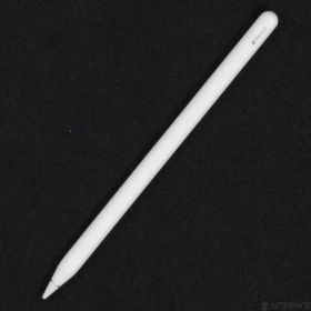 ソフマップ 〔中古品〕 Apple Pencil 第2世代 MXN43J／A【295】