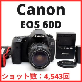 C27[7484]10★美品★ キヤノン Canon EOS 60D ボディ レンズセット 【ショット数 4,543回】
