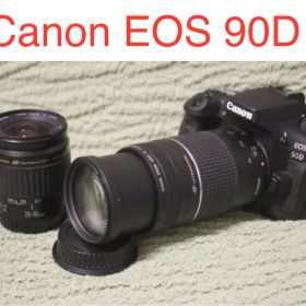 デジタル一眼レフカメラCanon EOS 90D標準&望遠ダブルレンズセット