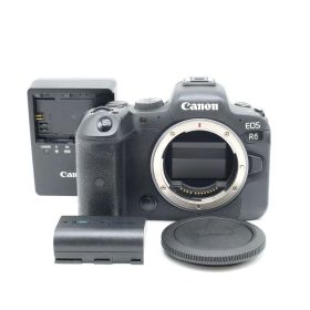 ショット数24000回以下！アイピースに破損がありますが■美品■ CANON EOS R6 ボディー