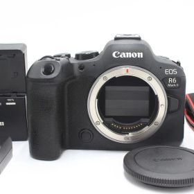 20000ショット以下！Canon EOS R6 MarkⅡ キヤノン