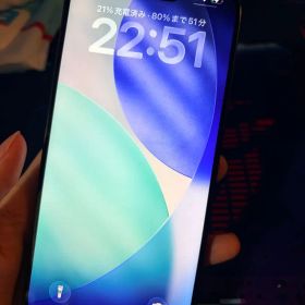 極美品iPhone15Promax 256G/US/100%/物理sim 2枚