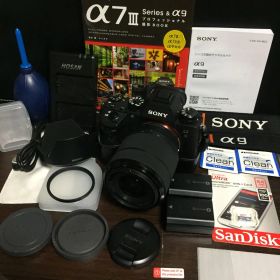 最終値下げ★付属品多数★SONY★α9★ILCE-9★a9★フラグシップモデル