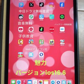 iPadPro11インチ第3世代★魅力ios16.6★256GB BT100%