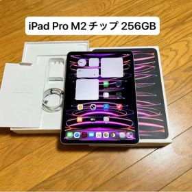iPad Pro 11インチ M2チップ（第4世代）スペースグレイ 256GB