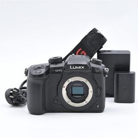 Panasonic パナソニック LUMIX DC-GH5-K ボディ ブラック