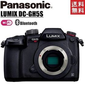 パナソニック Panasonic LUMIX DC-GH5S-K ボディ ミラーレス一眼レフ Wi-Fi搭載 カメラ 中古