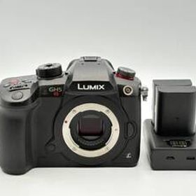 Panasonic LUMIX GH5S DC-GH5S ボディ バッテリー/充電器付き ◆動作品◆