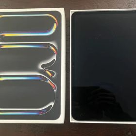 iPad Pro 11インチ M4 WiFi 256GB ブラック おまけあり