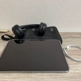 【美品 】iPad Pro M4 11インチ 256GB セルラーSIMフリー