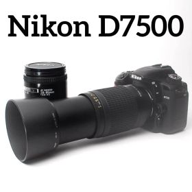 Nikon D7500 望遠付ダブルレンズ 高性能モデル