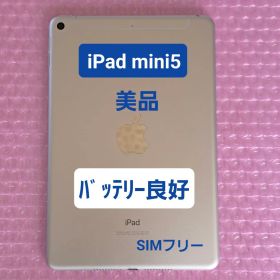 美品 iPad mini5 バッテリー良好 Cellular+Wi-Fiモデル