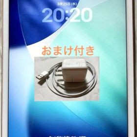 iPad Mini 第5世代 セルラーモデル 256GB ゴールド 中古品