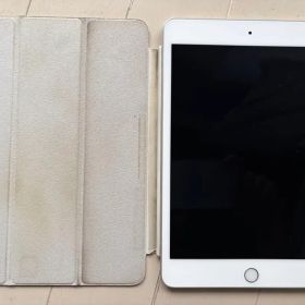 iPad mini