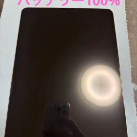 【美品】iPad Pro 11 128GB SIMフリー バッテリー100%