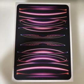 iPad Pro 11インチ (第4世代)128GB 本体